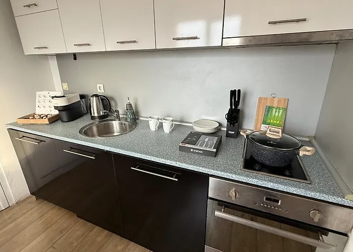 Lägenhet Cityair Apartment-airport&center Easy Access